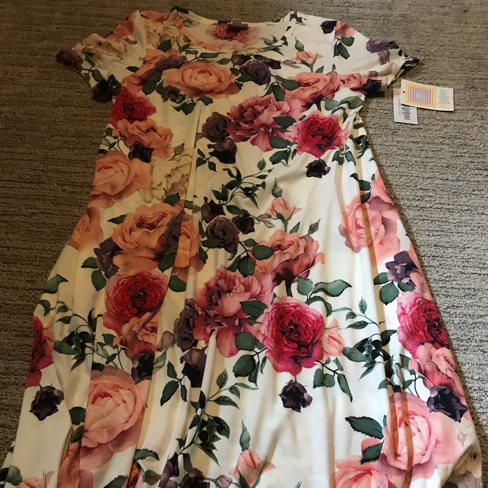 Lularoe NWT Jessie dress floral size Small